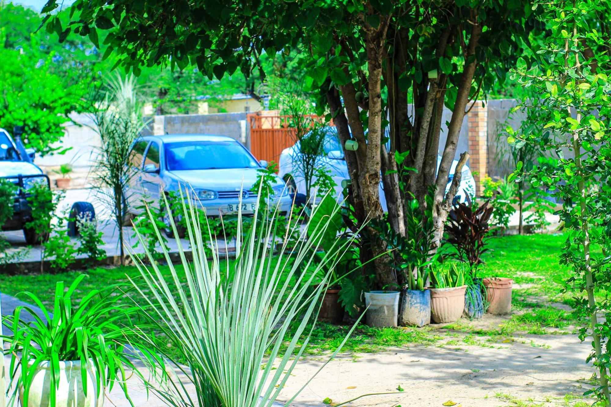 Golentle Home Stay Maun Exterior photo